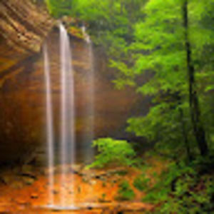 Meet your Posher, Josie